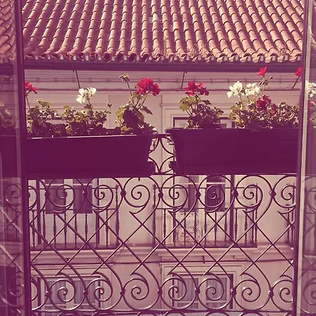 Casa Dos Patios Ii Feriehus Aveiro